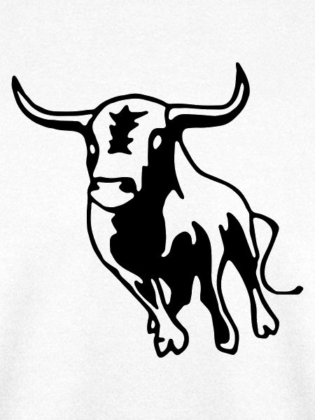 Stier,Torero,Bulle,Matador,