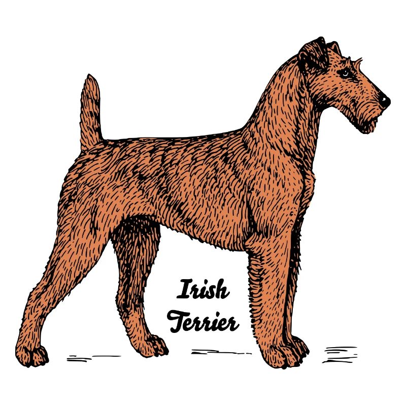 Irish Terrier Hunderasse Motiv