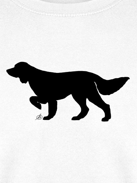 Langhaariger Vorstehhund