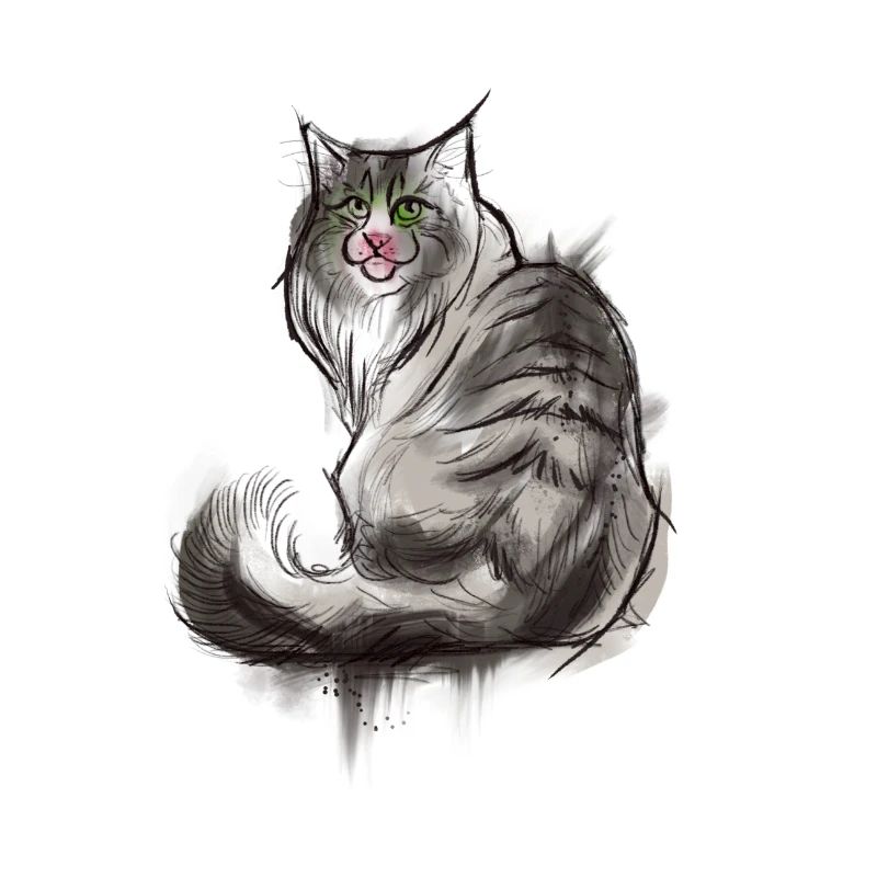 Norwegische Waldkatze