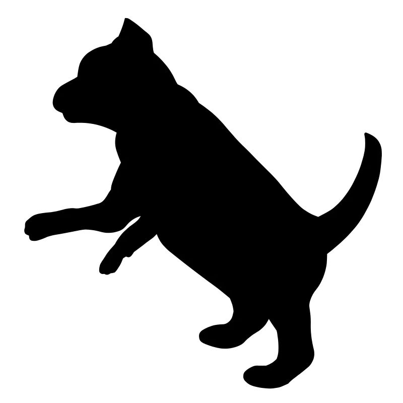 Ludique chiot