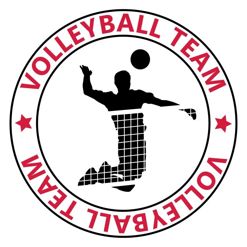 l'équipe de volley-ball