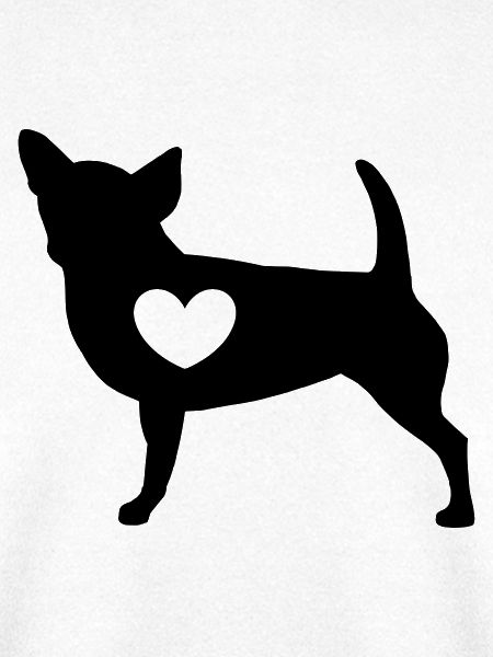 Chihuahua mit Herz