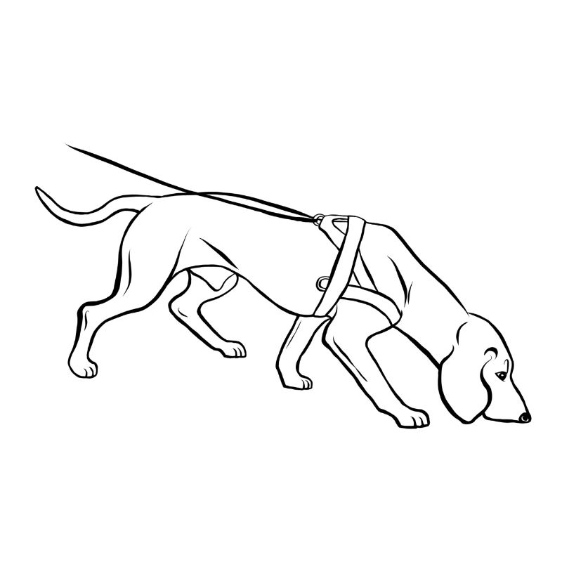 Schweißhund