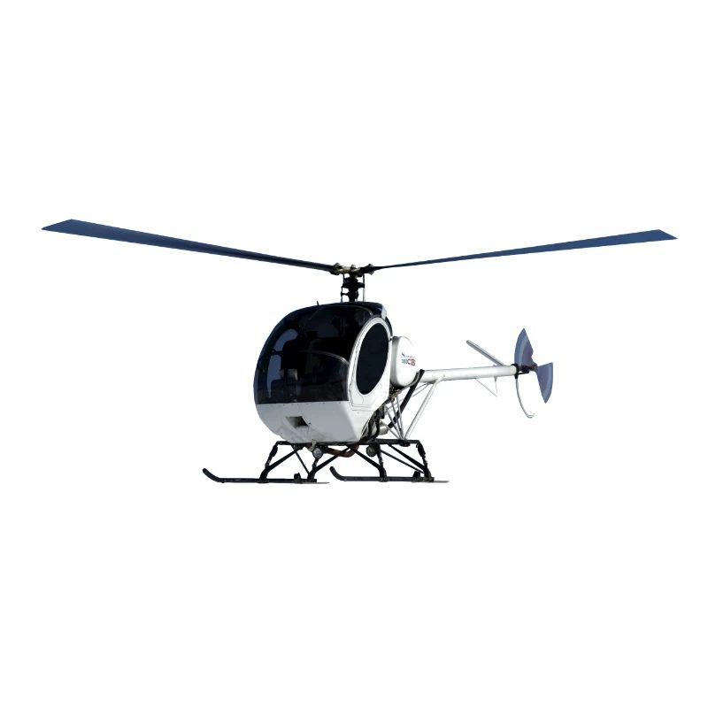Schweizer 300