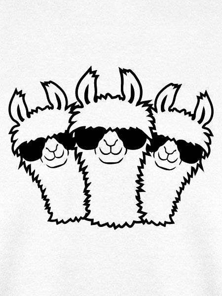 Team 3 Lama
