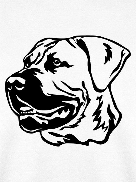 Boerboel Kopf