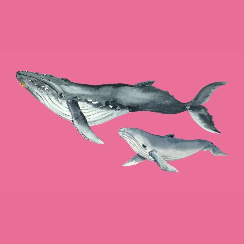 Whales, Wal Design