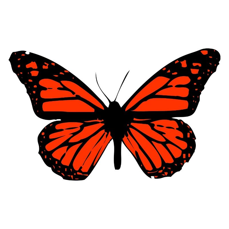 Schmetterling Kunst detailliert, hoher Kontrast