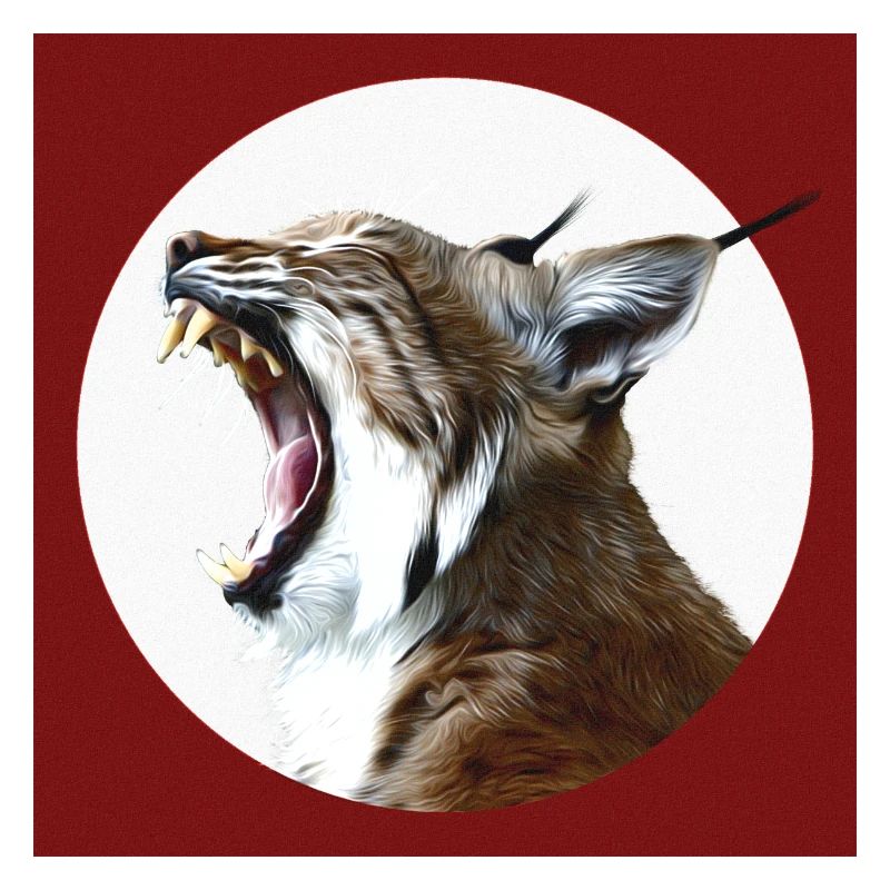 Luchs Wildkatzen Freiheit