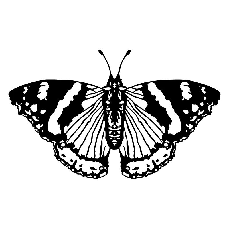 Schmetterling butterfly