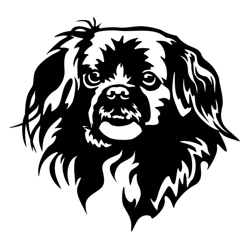 Tibetan Spaniel Head
