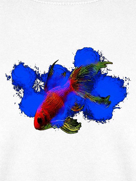 wassertiere, schleierschwanz Goldfisch
