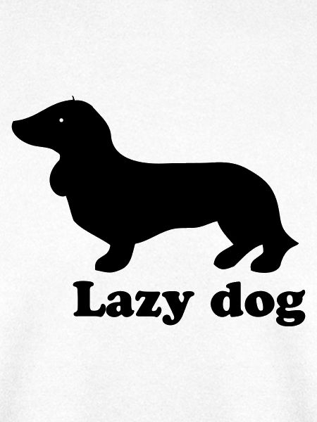 Lazy Dog