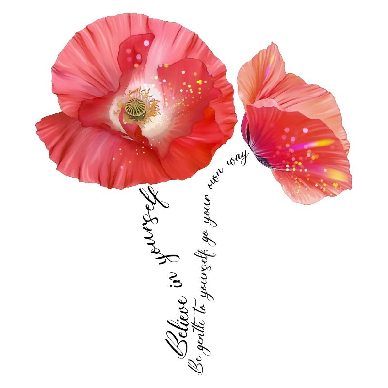 Coquelicot Mohnblumen Mohn