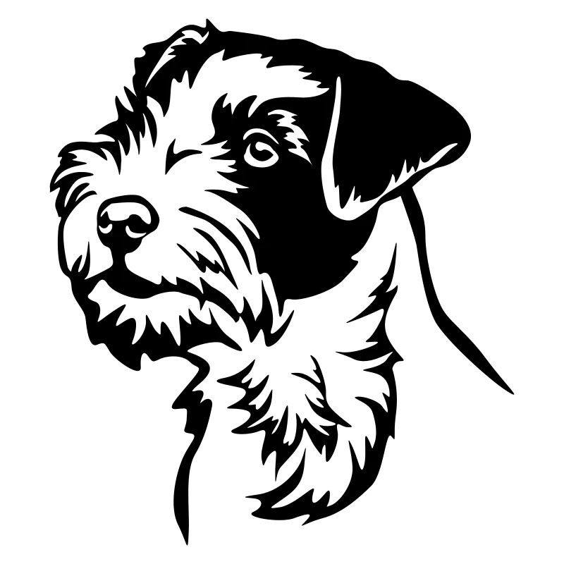 Parson Russell Terrier Kopf