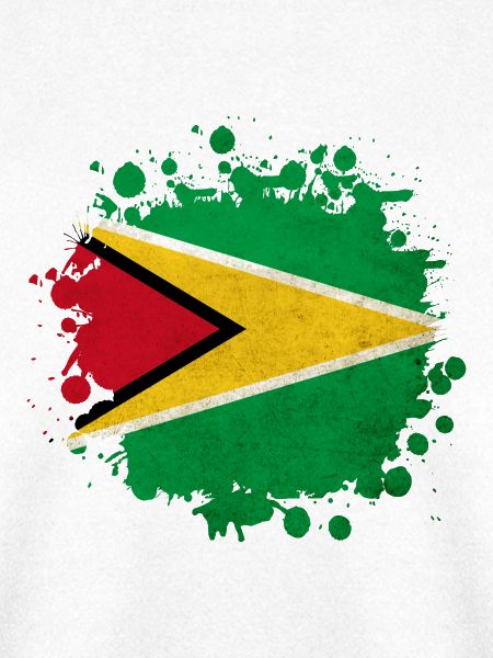 Guyana Flagge Klecks