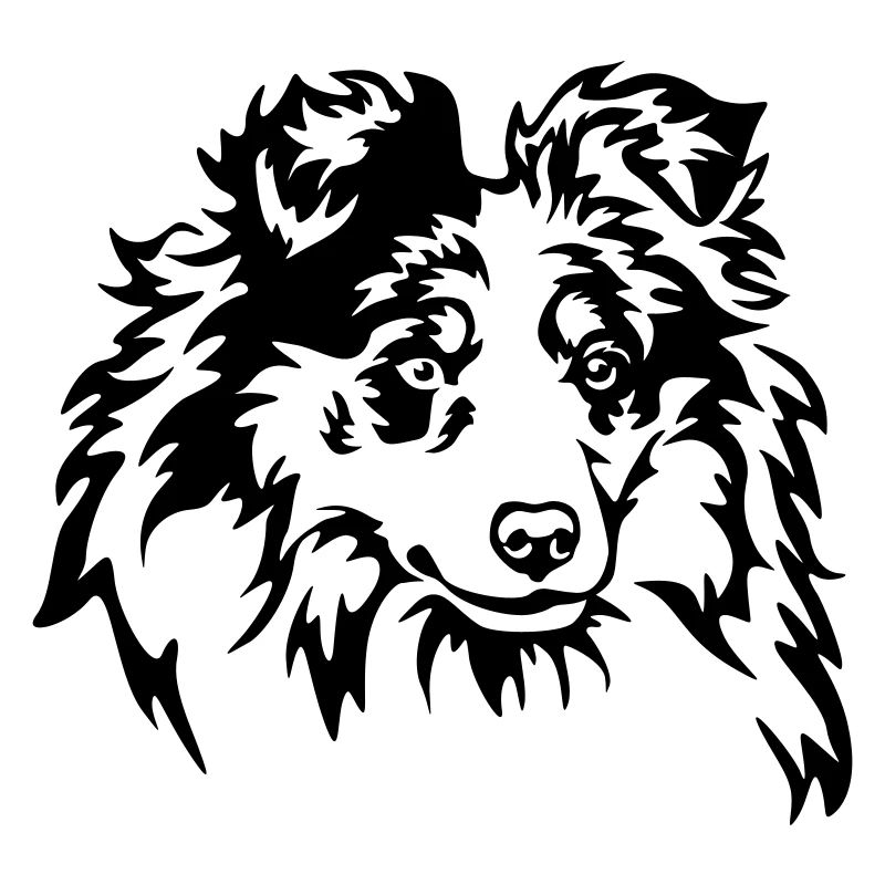 Sheltie Kopf