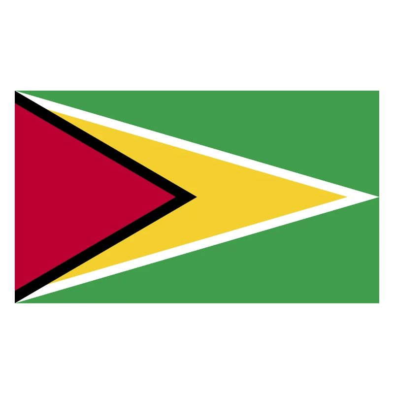 Guyana National Flagge