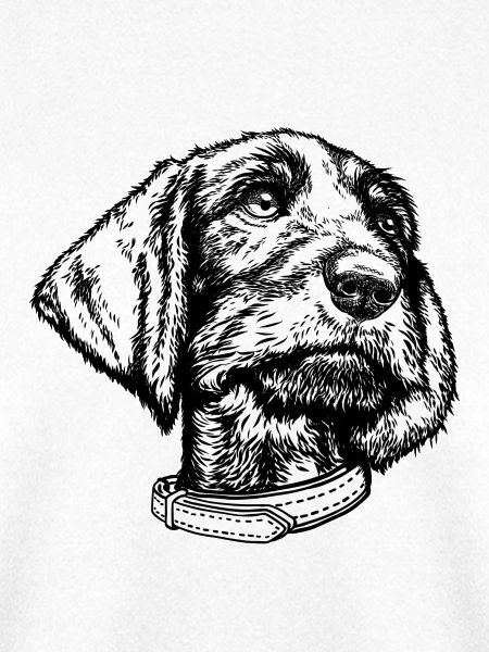 Dackelportrait sw