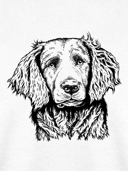 Wachtel Portrait