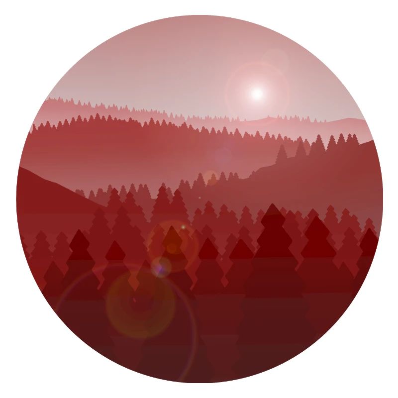 Sonnenuntergang im Kiefernwald