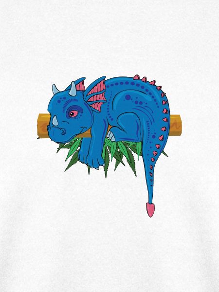 Zauberhaftes Drachenabenteuer