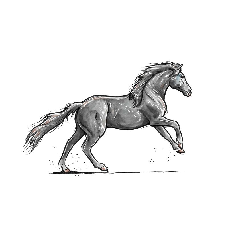 Schwarzes Pferd Galopp
