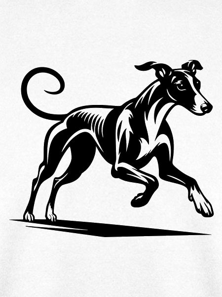 Galgo