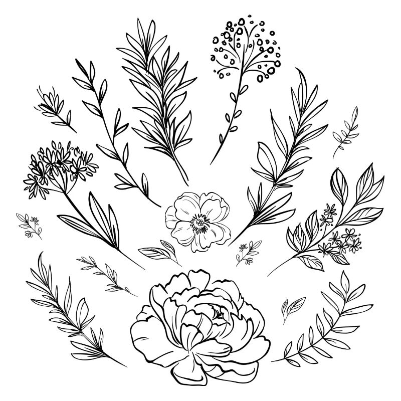 Blumen Skizze