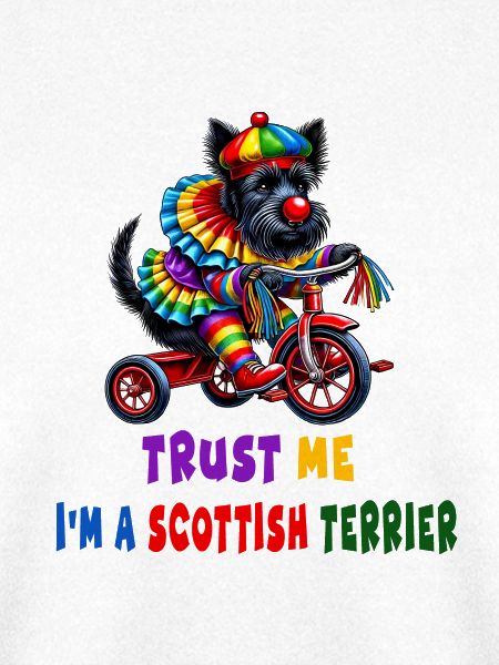 Clown Terrier auf Dreirad