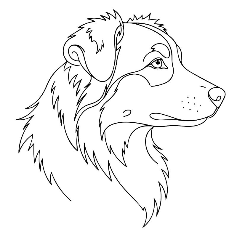 Australian Shepherd Line Art