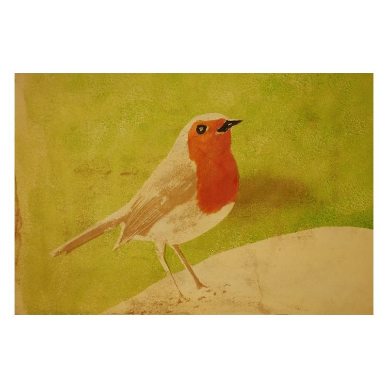 Vogelillustration mit rotem Bauch