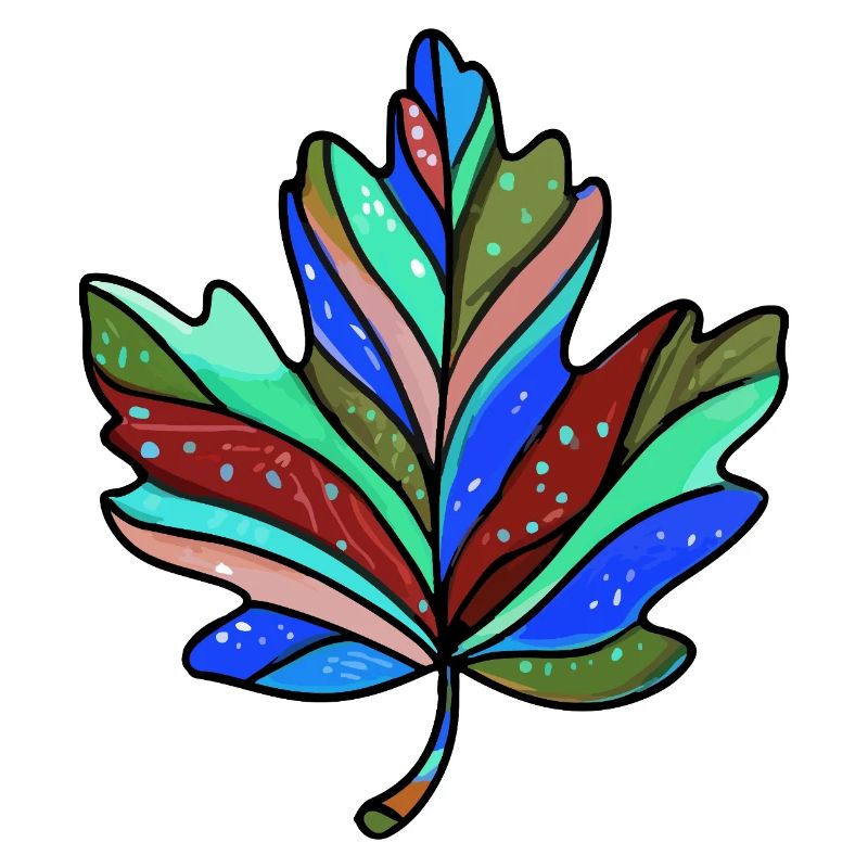 Blatt Herbst Bunt Ahorn