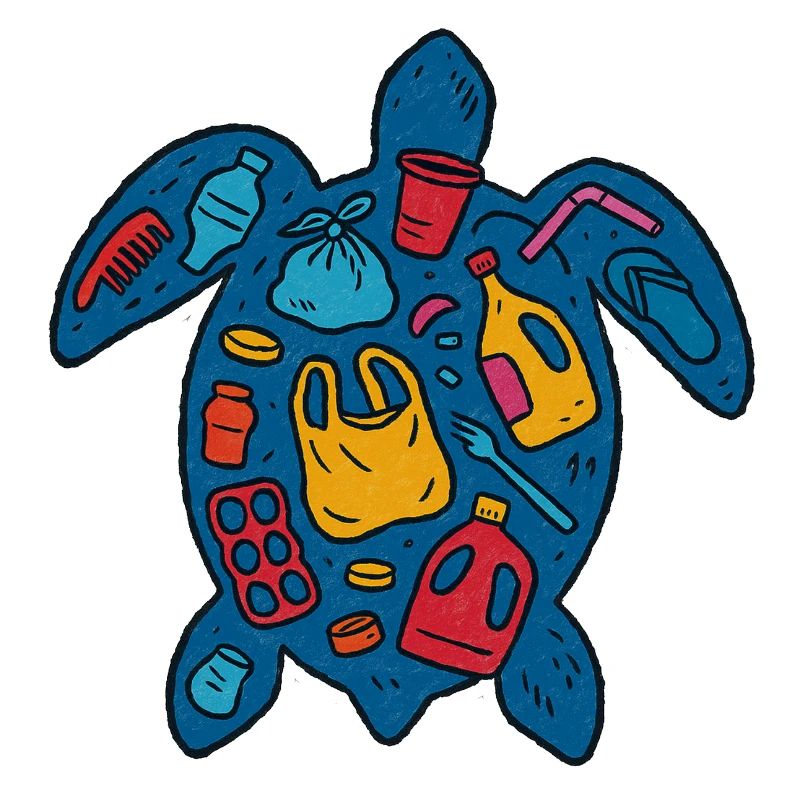 Eco-Friendly Turtle with Waste Art