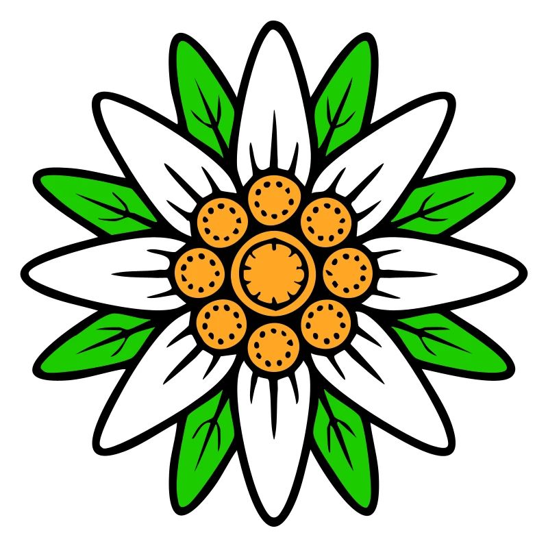 Edelweiss