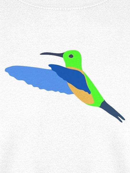 Bunter Kolibri im Flugdesign