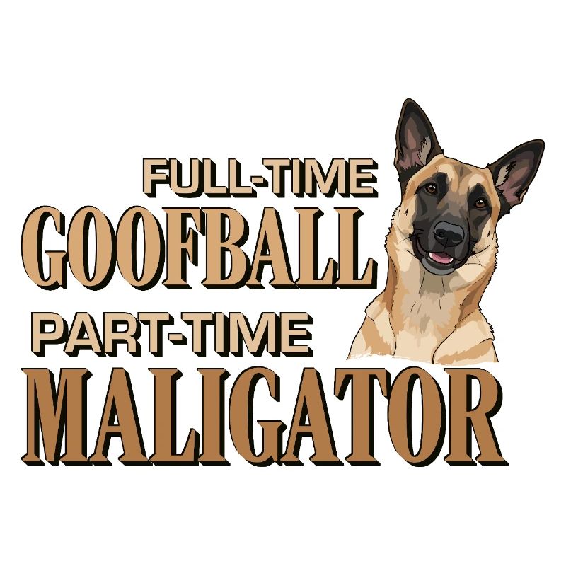 Belgischer Malinois – Tollpatsch Maligator