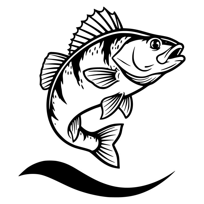 Springender Flussbarsch Angler Action