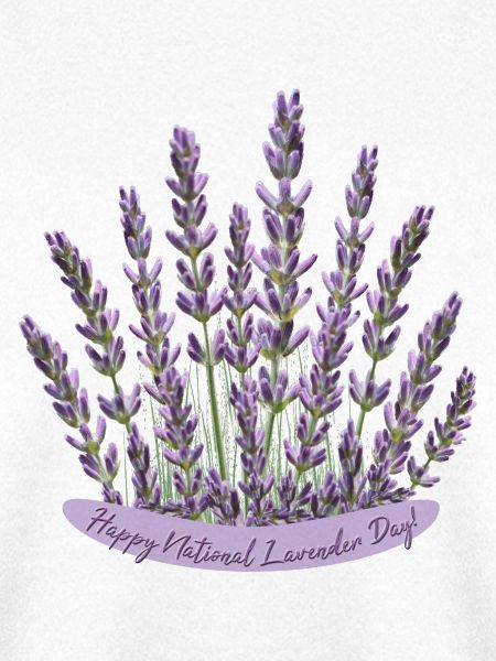 Lavendelstraußzum National Lavender Day