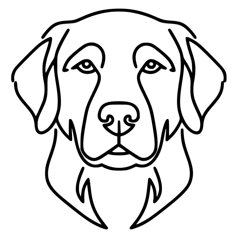 Labrador Head Dog Portrait Vector