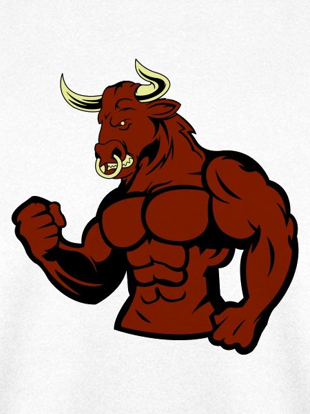 Muscular Bull Taurus