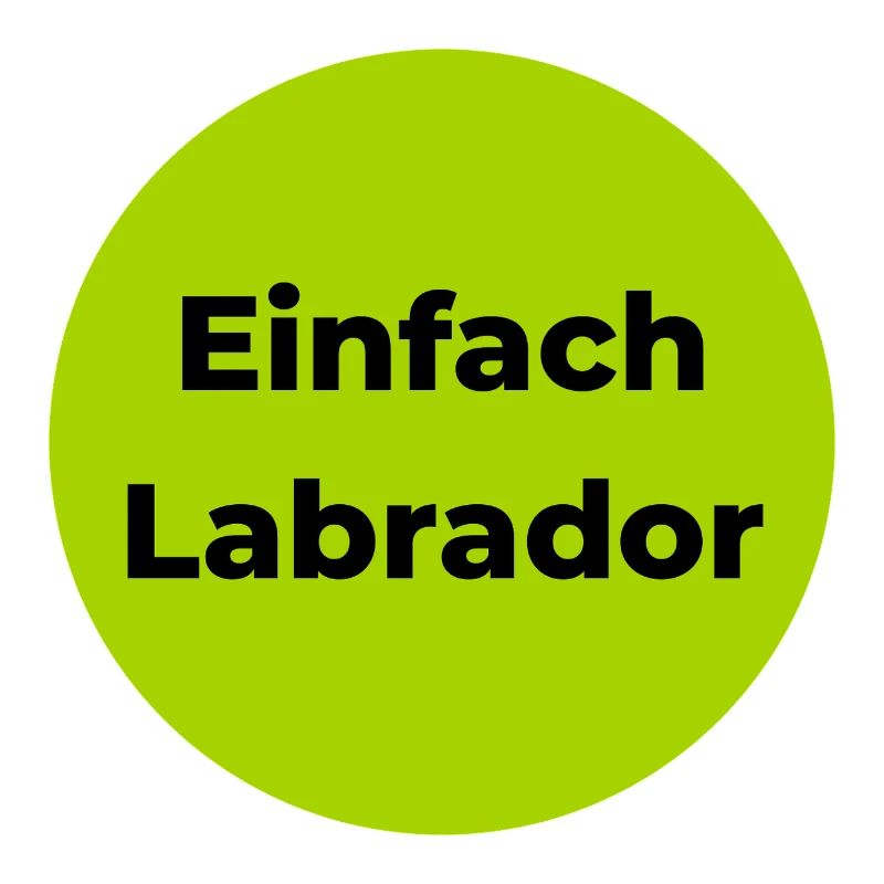 Einfach Labrador Minimaler Hundelook