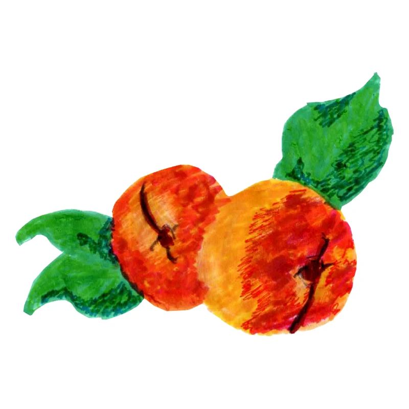 Aprikosen Art  
