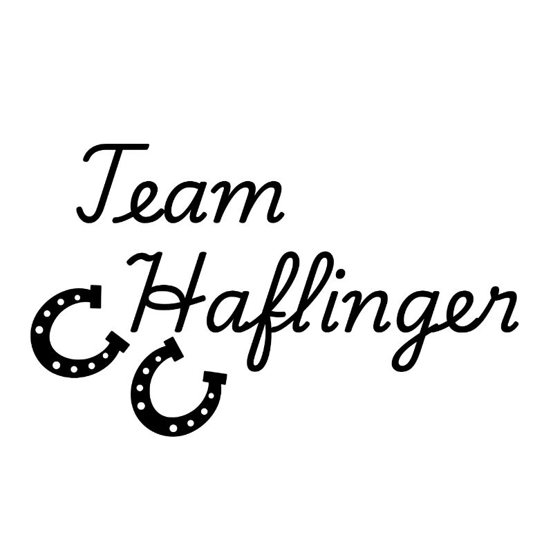 Équipe Haflinger