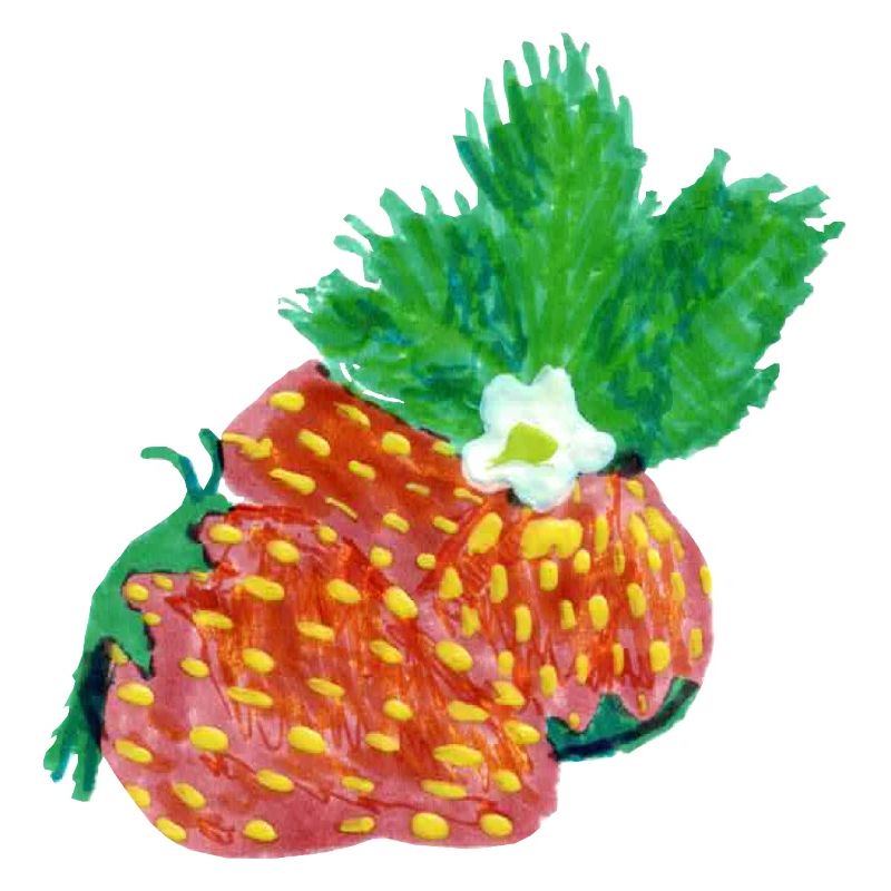 Erdbeeren Art