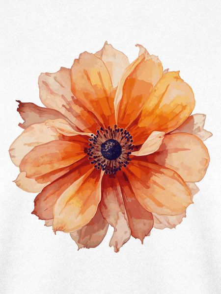 Blume