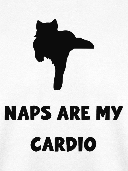 Katzen-Yoga: Nickerchen sind Cardio