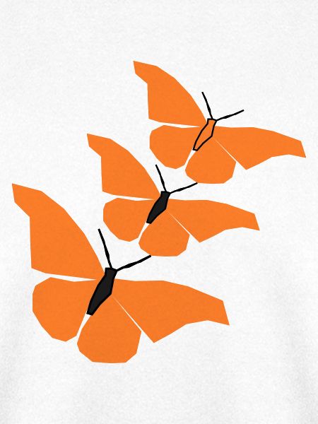 3_schmetterlinge_22