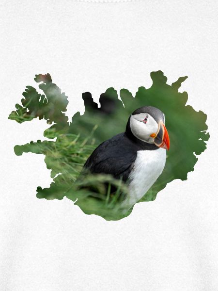 Papageientaucher, klein, bunt, unvergesslich